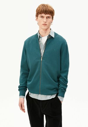 Junger Mann mit kurzen hellbraunen Haaren trägt einen türkisfarbenen Reißverschluss-Pullover über einem gestreiften Hemd und schwarzen Hosen und steht vor einem schlichten Hintergrund.