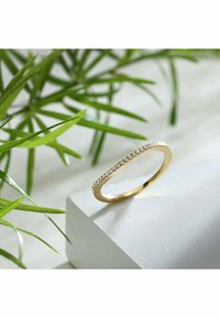 Guldring med en smal ring prydd med små, klara stenar längs ena sidan, placerad på en vit yta med grönska i bakgrunden.