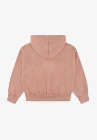 Jordan HOODIE - Felpa - light madder root