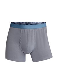 Graue Herren-Boxershorts aus weichem Stoff mit einem blauen elastischen Bund, der weiß bedruckten Text und Branding trägt.