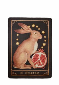 THE EMPRESS TAROT TALES JESSICA ROUX COLLABORATION - Šal - black