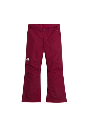 The North Face, FREEDOM INSULATED PANT - Ски панталон - burgundy crush
