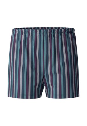 Zwemshorts met een elastische tailleband, voorzien van verticale strepen in teal, donkerpaars en wit, gemaakt van lichtgewicht stof.