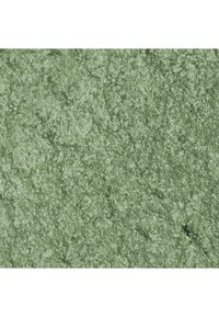 Substance poudreuse verte avec une texture rugueuse et granuleuse uniformément étalée sur une surface plane.