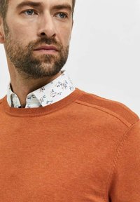 Selected Homme SLHBERG brązowy