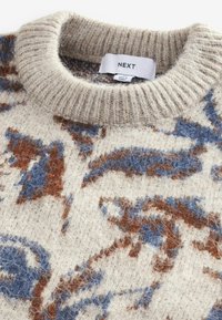 Knit pullover featuring a cream base with blue and brown floral patterns, ribbed collar, and soft, textured fabric. Label reads "NEXT."