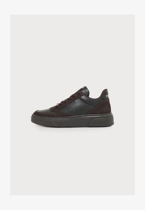 Steve Madden, BRENT - Sneakers - choc multi