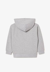 Felpa grigia con cappuccio, caratterizzata da una superficie morbida e testurizzata, maniche lunghe e cappuccio arrotondato. Presenta un design semplice sul retro.