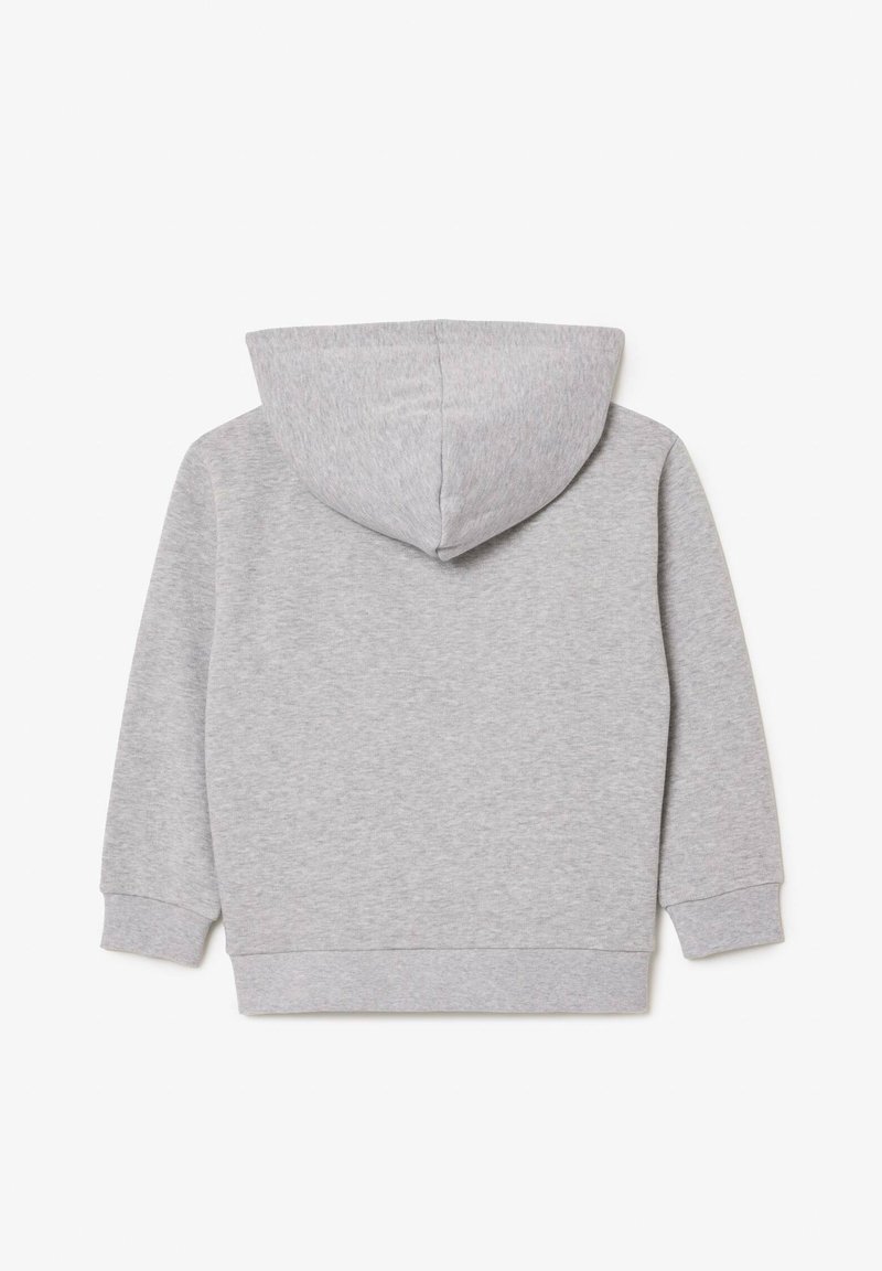 Grijze hoodie met een zachte, textuur oppervlak, lange mouwen en een ronde capuchon. Heeft een effen ontwerp aan de achterkant.