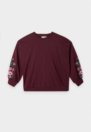 ONLY Carmakoma, CARBROOKE O NECK PRINT - Mikina - fig