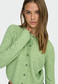 Roheline nööbitav kardigan, valmistatud pehmest tekstuuriga kangast. Omab ümarat kaelust, soonikkoes varrukaotsi ja tumedaid nööpe kontrastiks.