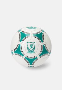 Hvid fodbold med et grønt og sort design, hexagonale paneler og et klubemblem, samt en blank tekstureret overflade.