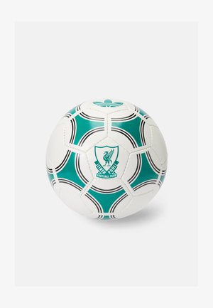 Hvid fodbold med et grønt og sort design, hexagonale paneler og et klubemblem, samt en blank tekstureret overflade.