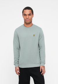 Felpa verde chiaro con maniche lunghe, collo rotondo e polsini a costine. Presenta un piccolo logo giallo sul lato sinistro del petto. Indossata con pantaloni scuri.