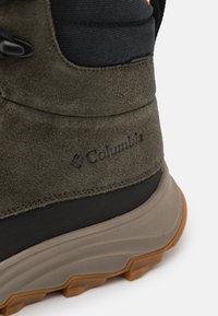 Columbia EXPEDITIONIST™ SHIELD - Pārgājienu apavi - deep olive/desert sun