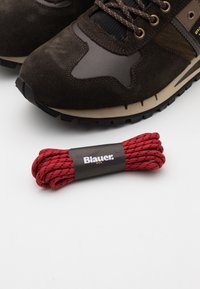 Brązowy but sportowy wykonany z zamszu i siateczki, z czarną podeszwą. W komplecie z czerwonymi sznurowadłami w wzór, zapakowanymi w firmowy woreczek.