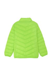 Color Kids Vinterjacka - green gecko