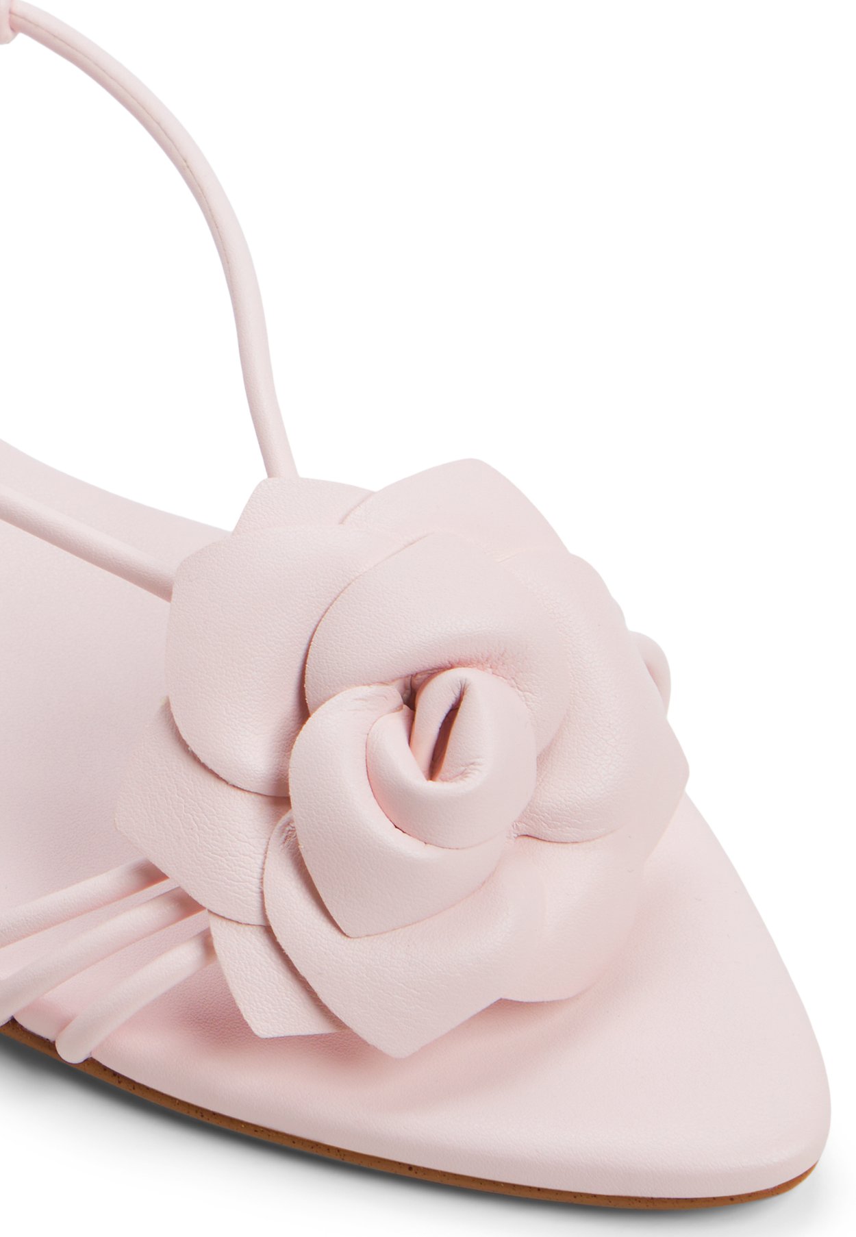 GARDENIA