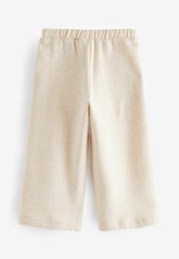 Next WIDE LEG JOGGERS - REGULAR FIT - Jogginghose - oatmeal