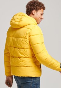 Superdry & Co Vinterjakker - volt