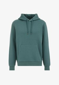 Izbrano, sea green