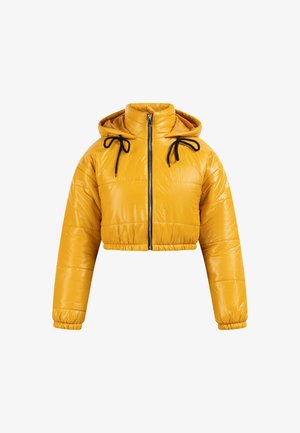 Lühendatud kollane puhutud jakk, millel on läikiv viimistlus, kapuuts, esine tõmblukk ning mustad nöörid kaelas ja varrukatel.