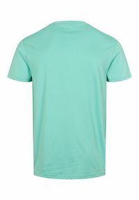 Kurzärmeliges T-Shirt in Minzgrün aus weichem Stoff, mit klassischem Rundhalsausschnitt und schlichtem Design ohne sichtbare Muster oder Akzente.