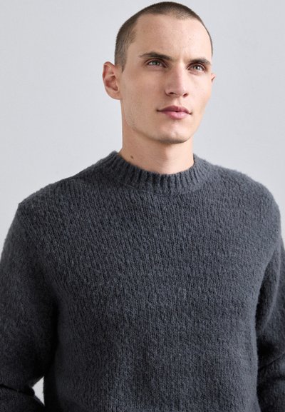 Won Hundred RYDER - Strickpullover - ebony
