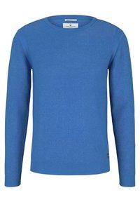 Maglione azzurro lavorato a maglia con motivo testurizzato, collo rotondo, maniche lunghe e polsini e orlo a coste. Etichetta visibile in basso a sinistra.
