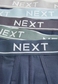 Moške spodnje hlače s širokimi elastičnimi trakovi v svetlo sivi, svetlo modri, temno sivi in zeleni barvi z belim logotipom "NEXT" v ravnem, gladkem dizajnu.