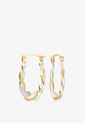 Orecchini ad anello intrecciati in tonalità oro e argento. Presentano una finitura lucida con chiusura a cerniera. Design leggero adatto per l'uso quotidiano.