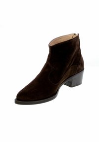 Botte de cheville en daim marron avec un bout pointu, doublure claire, découpe angulaire et un petit talon carré. Présente une fermeture éclair sur le côté.