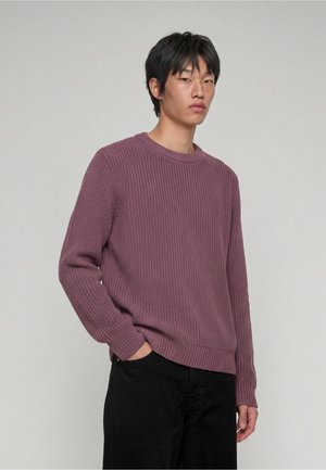 Ung mand med sort hår iført en mauve strikket sweater og sorte bukser står med den ene hånd i lommen mod en ensfarvet baggrund.