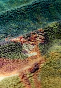 Non sélectionné, green woodland scene