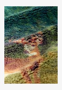 Non sélectionné, green woodland scene