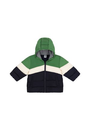 UNISEX COLOR BLOCK - Vinterjakke - green/dark blue