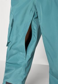 Adidas Terrex PANTS - Skijaške hlače - preloved teal