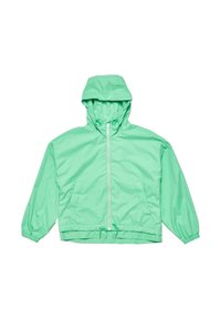 Unselected, spearmint