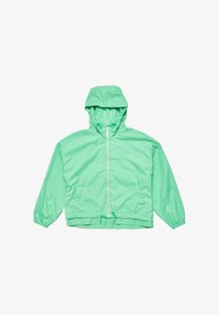 Unausgewählt, spearmint