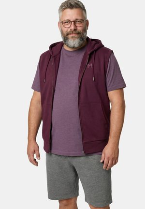 Mann mit grauem Bart und Brille, trägt lila T-Shirt, ärmellosen bordeauxfarbenen Hoodie und graue Shorts, steht und lächelt.