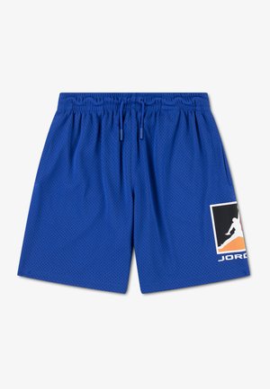Blauwe mesh sportshorts met een elastische tailleband met trekkoord en een Jordan-logo patch in zwart, wit en oranje op het rechterbeen.