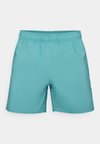 PRESTON SHORTS - Sporta šorti - teal