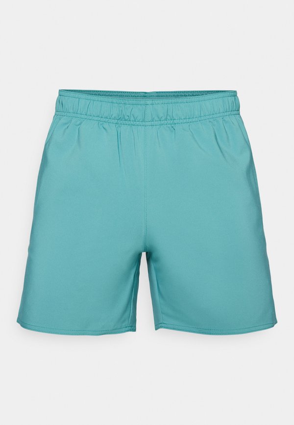 PRESTON SHORTS - Sports shorts - teal4