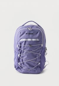 EXPLORER UNISEX - Σακίδιο πλάτης - stormwatch/lavender pearl