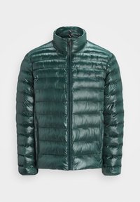 Grüne Pufferjacke mit Reißverschluss vorne, hohem Kragen und horizontal gestepptem Design. Verfügt über zwei Seitentaschen und ein kleines Logo auf der Brust.