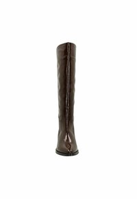 Botte marron, haute jusqu'au genou, fabriquée en cuir brillant avec un embout pointu et un design ajusté. Elle présente une surface lisse et une semelle plate noire.