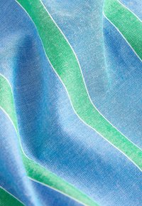 Next LONG SLEEVE SIDE STRIPE  - Užsagstoma palaidinė - blue green stripe