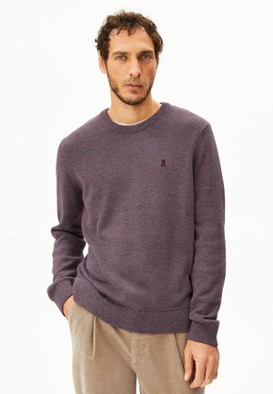 Mann mit kurzen lockigen Haaren und Bart, trägt einen violetten Pullover mit Rundhalsausschnitt und beige Hosen, steht vor einem schlichten weißen Hintergrund.