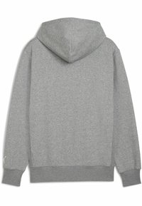 Grijze hoodie met een trekkoordcapuchon en geribbelde boord. Het materiaal is zacht met een gladde textuur. Heeft een logo op de linkermouw.