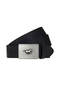 Mustang - Pas